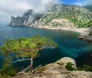 Алуштинский заповедник и его флора и фауна: богатство природы на южном берегу Крыма